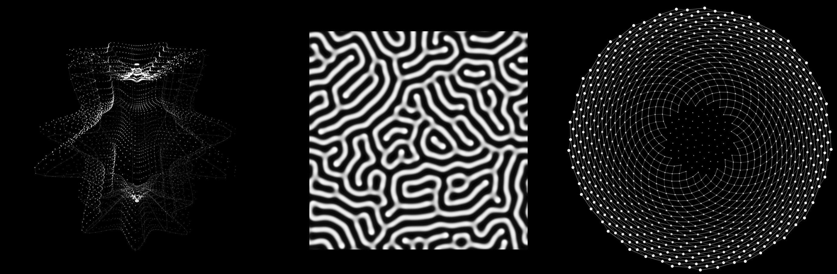 Morphogenetic Studies: Superformula · a seven-lobed flower as a volume (m = 7, n1 = 0.2, n2 = n3 = 1.7); Gray–Scott · a labyrinth (feed 0.029, kill 0.057) on a 256 × 256 grid that wraps around; Vogel · 1000 points at the golden angle (137.508°), joined to their 21st and 34th neighbours: 21 spirals one way, 34 the other